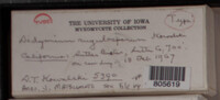 Image Associated With the Occurence